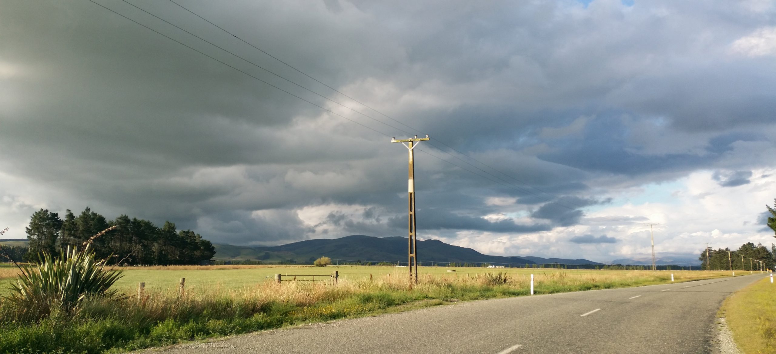 The Power Company Limited